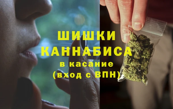 ПСИЛОЦИБИНОВЫЕ ГРИБЫ Медногорск