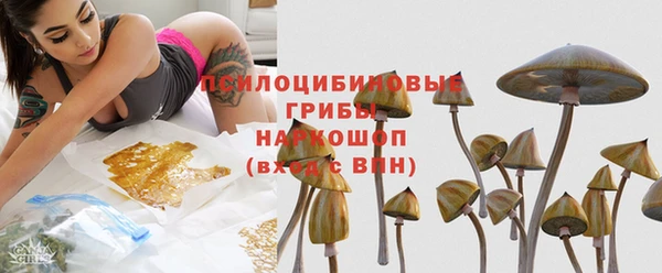ПСИЛОЦИБИНОВЫЕ ГРИБЫ Медногорск