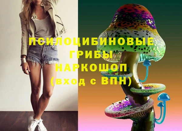 стафф Магадан
