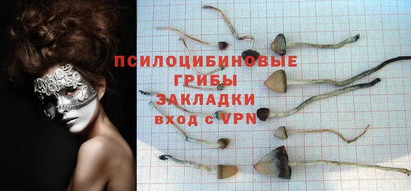 ПСИЛОЦИБИНОВЫЕ ГРИБЫ Медногорск