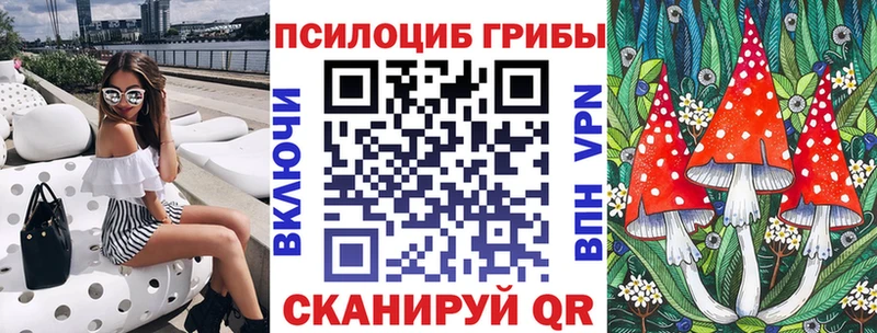 Купить  Агрыз  Галлюциногенные грибы Psilocybine cubensis 